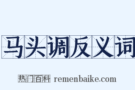 马头调反义词是什么意思的图片